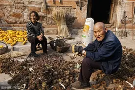 农民以前上交的公粮，能不能算作现在的社保？听听专家怎么说图片