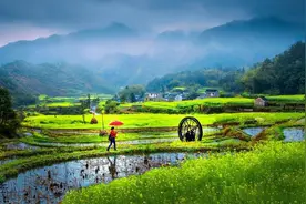 由日本老农匪夷所思的问题，解读真实日本农村，对我国有何启发？图片
