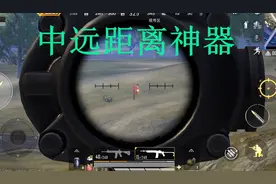 同样是MINI14，战神和青铜手中用起来不是同一把枪图片