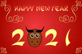 2021年是寡妇年，俗语：“牛遇寡年，牛筋累断”啥意思图片