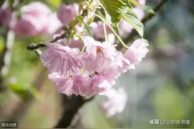 武元衡这首经典的七绝《春兴》，只是那么信手拈来，道尽思乡之苦图片