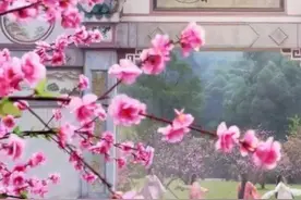 湖南十强县，桃源为何脱颖而出图片