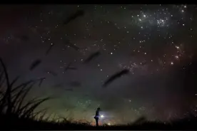 动漫壁纸第四弹 漫天的话语 纷乱落在耳际图片