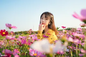 图片|酒醒只在花前坐，酒醉还来花下眠图片