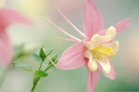 高中英语笔记：满分作文/概要亮眼词汇替换及百搭高级词组精选2图片
