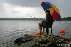 都说下雨好钓鱼，但作钓却时常空军。原因是你没掌握好时机图片