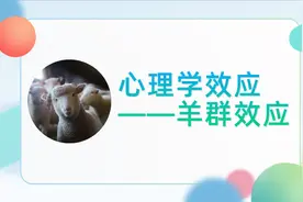 班组管理 | 心理学效应：羊群效应，正反两方面的影响图片