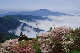 王维与《渔樵问答》：对田园生活的渴望，是纷扰红尘不能给予的图片