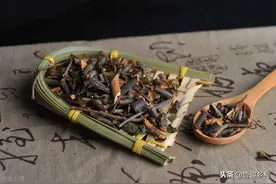 桑寄生，一种长在桑树上的神奇植物，遇见别错过图片