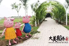 西青又添一处“网红打卡地”！稻香公园欢迎你~图片