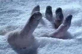 朱元璋干儿子，《永乐大典》编撰者，为何被埋入雪中活活冻死？图片