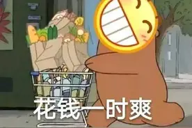 狗碗越高越好？图片