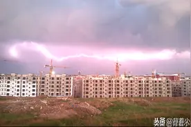 #随手拍静物#何方道友在此渡劫？紫电、青牛、白鹭图片