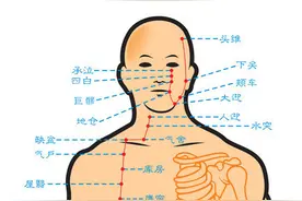 什么是阳明病？一目了然，学习笔记分享给大家图片