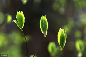 傅佩荣：你从哪里来？为什么过这样的生活？看完觉得自己真幸运！图片