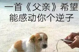 每日一笑：狗说我不是人，但你是真的狗图片