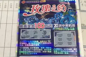 “幸运＋惊喜”玫瑰之约100万元大奖现身童话边城图片