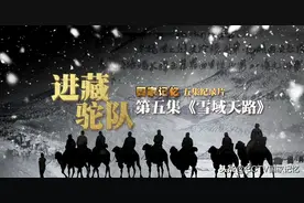 7个月，1200公里，进藏驼工变身筑路工，雪域架天路，天堑变通途图片