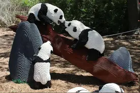 耗资超过300万件的乐高动物雕塑作品图片