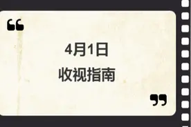 4月1日收视指南图片