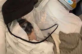 从心系武汉捐款捐物，到拖家带口辗转万里回国，“一切就像梦一样”图片