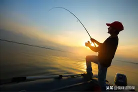民间俗语：“钓鱼穷三年，玩鸟毁一生”，背后有何道理？图片