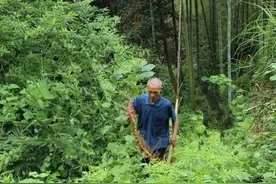 威风八面的小方子！剿灭顽固脚气、手癣，山中老医亲传，建议收藏图片