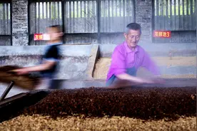 7种老手艺都是未来“生意经”，学到就能赚到，你愿学哪种？图片