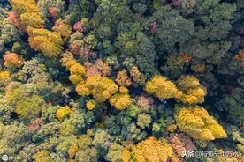 无人机航拍杭州九溪十八涧，绝美景色深藏于西湖群山之间，太美了图片