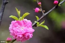 人生，容易让人迷失的三大错觉图片