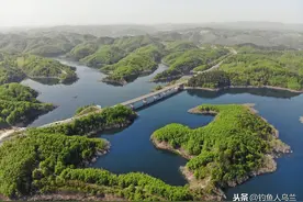 探钓丹江口水库，鱼种多到你认不全图片