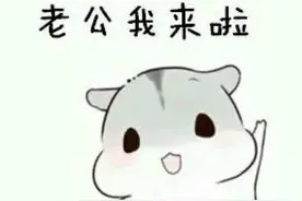 仓鼠表情包：老公我来啦图片