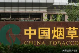 2021年想进入中国烟草可以报考的专业名单、学历要求最新汇总图片