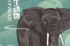 保护野生动物，敬畏自然与生命！图片