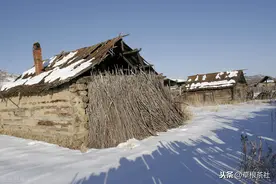知青生活往事：第一次留在东北过年，他至今难忘老乡送的黏豆包图片