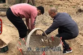 2哈第一次请老母鸡炸窝，过程搞笑不断，惹得孩子惊叫不断图片