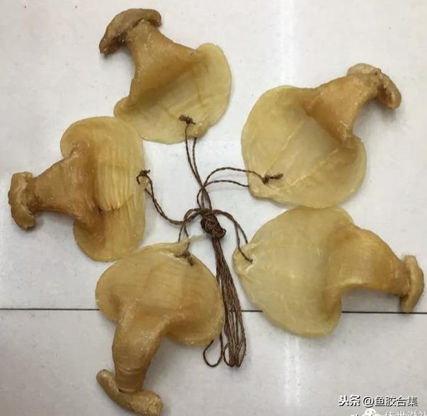 长长的花胶 2026年长条花胶