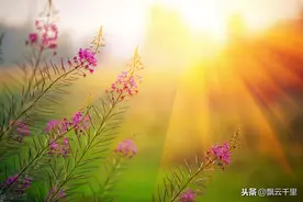 三国时共有四位虎威将军，他们分别是谁？其中谁的寿命最长？图片