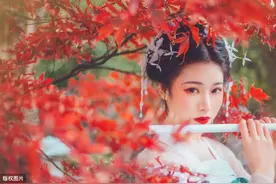 唯有相思不可医图片