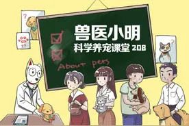 猫屎有恶臭，铲屎官可别一笑置之，说不定猫咪是在告诉我们什么呢图片