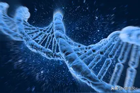 我们身体构造有无数先人粒子存在，或者这就是那些似曾相识的原因图片