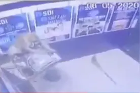 印度猴子成精了！去银行打劫柜员机，警察哭笑不得图片