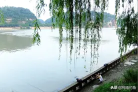 打窝真的就可以诱来鱼吗？不了解打窝的原理就是喂鱼图片