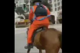 福建一男子骑马在街头狂奔，被交警拦下批评教育图片