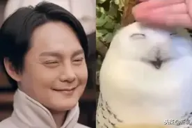 咬手绢镜头太要命！没想到尹正也是“女装大佬”！图片