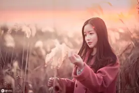 小说：陪暗恋上司参加饭局，喝醉后受到他照顾（二）图片