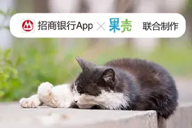 铲屎官速进！带你3分钟搞懂“弱阳性”图片