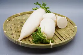 吃中药到底能不能吃白萝卜？图片