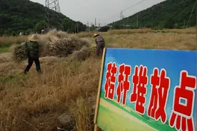 吉林省秸秆这样处置：坚持禁烧、限烧“两区”管控，持续推进“五化”利用图片