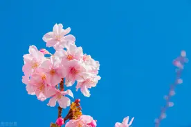 王德福：如何激活在职党员图片